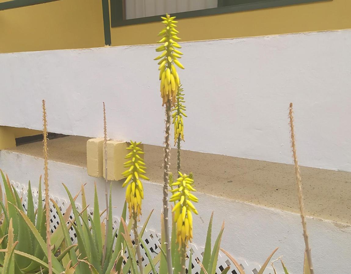 Apartmán Caroni Playa del Inglés Exteriér fotografie